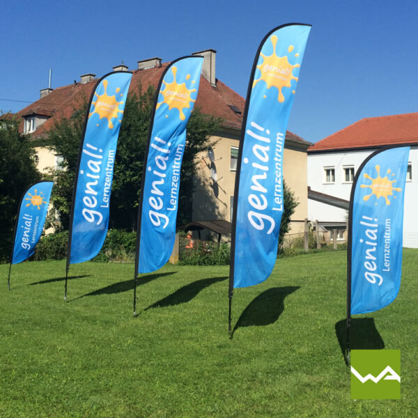Beachflags - Genial Lernen Druck - Titelbild