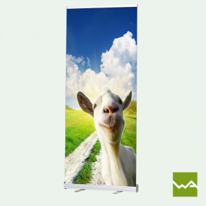 Roll up BUDGET Titelbild